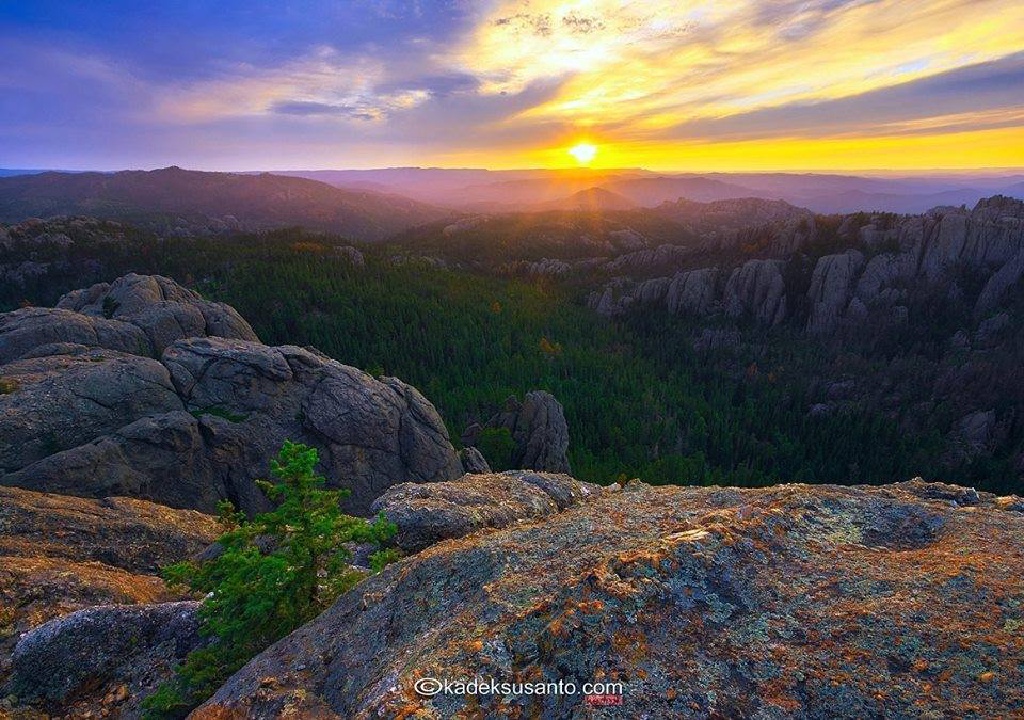 Black-Hills-SD/1024x768_Black Hills summit.jpg